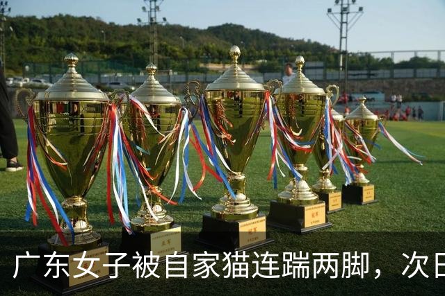 广东女子被自家猫连踹两脚，次日凌晨痛到送医，腹腔竟出血1000毫升！
